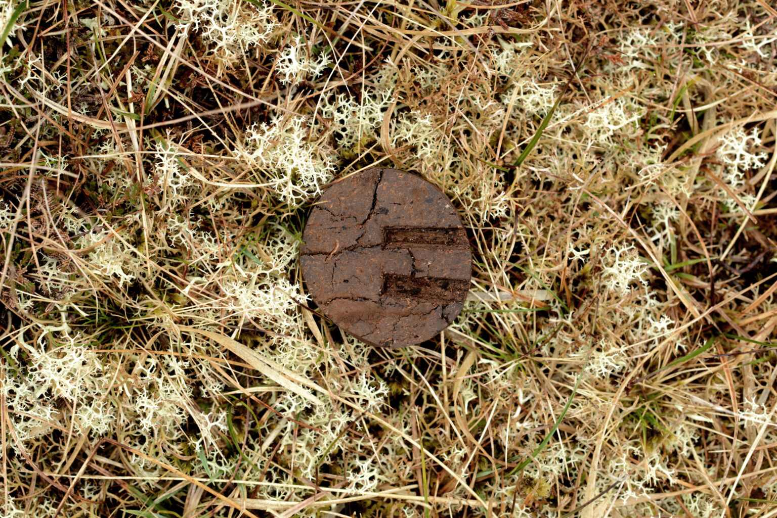Coin made of peaty soil