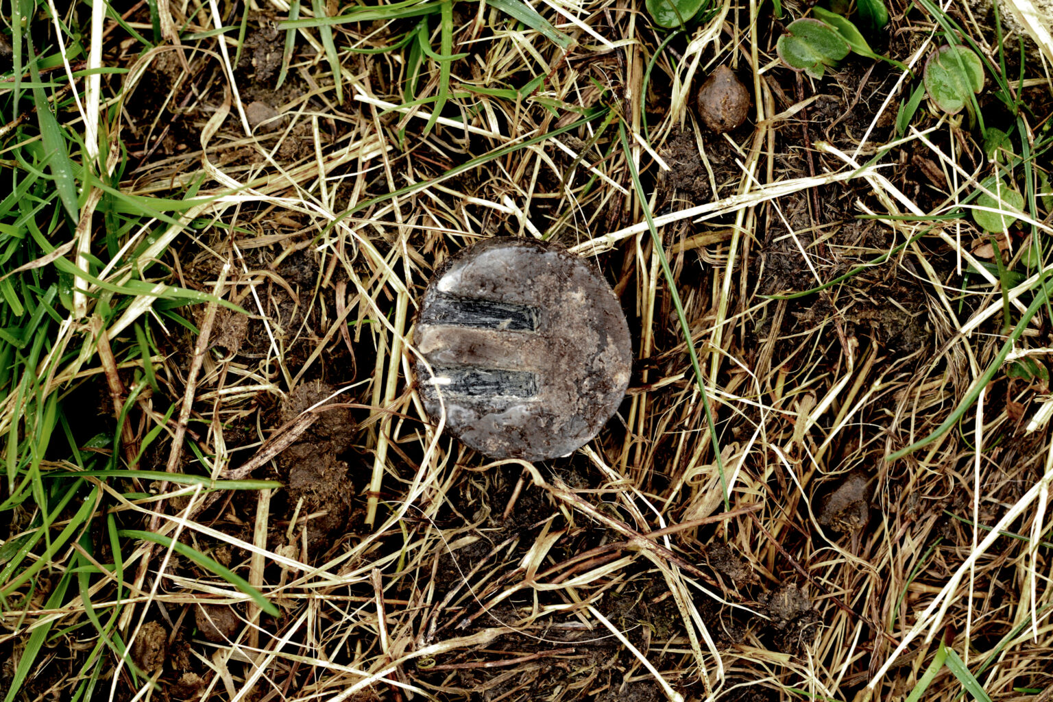 Talisman Made from wool on grassland