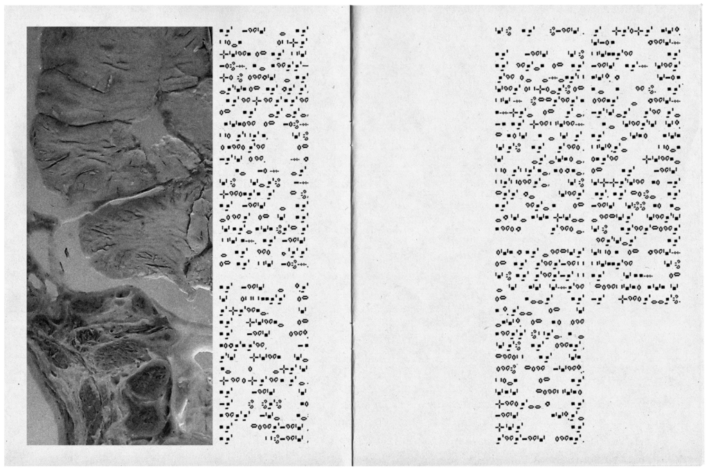Book spread
