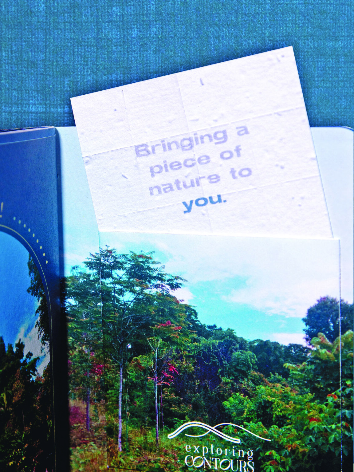 Plantable Paper