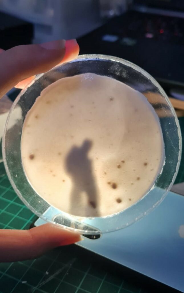 Subsurface Scattering