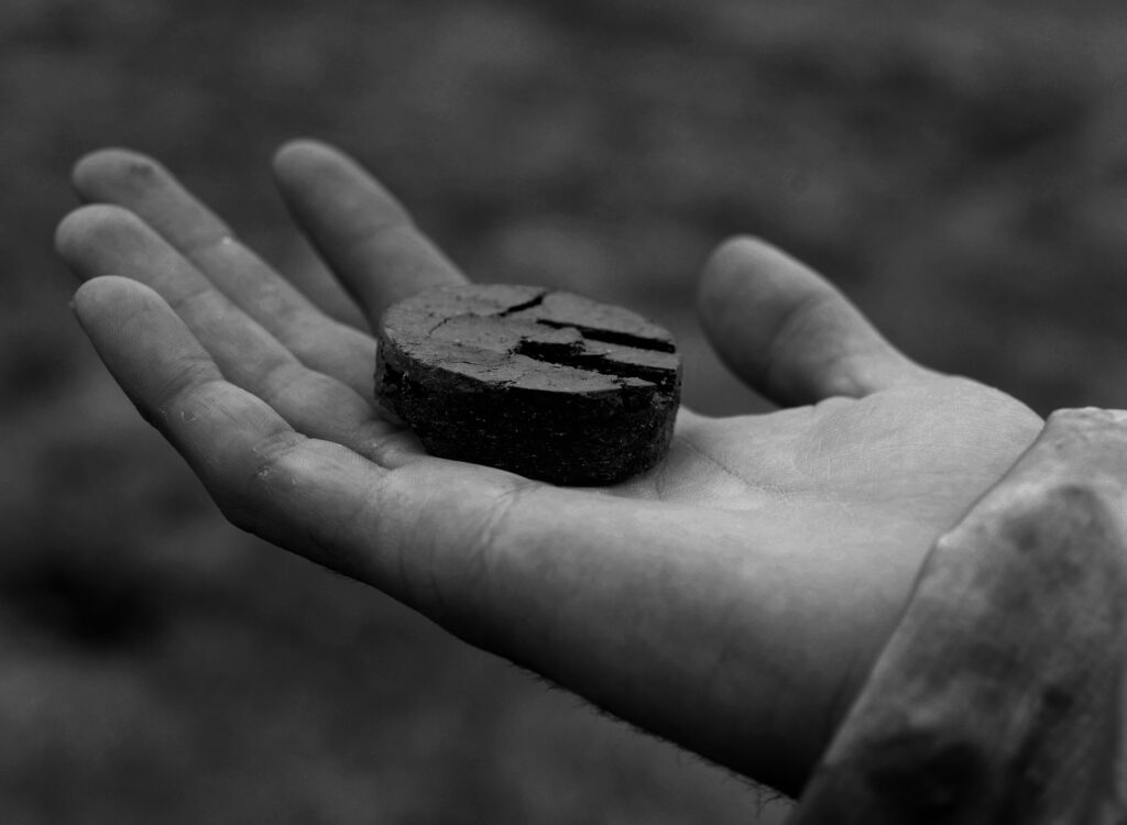 Peat Coin in Hand