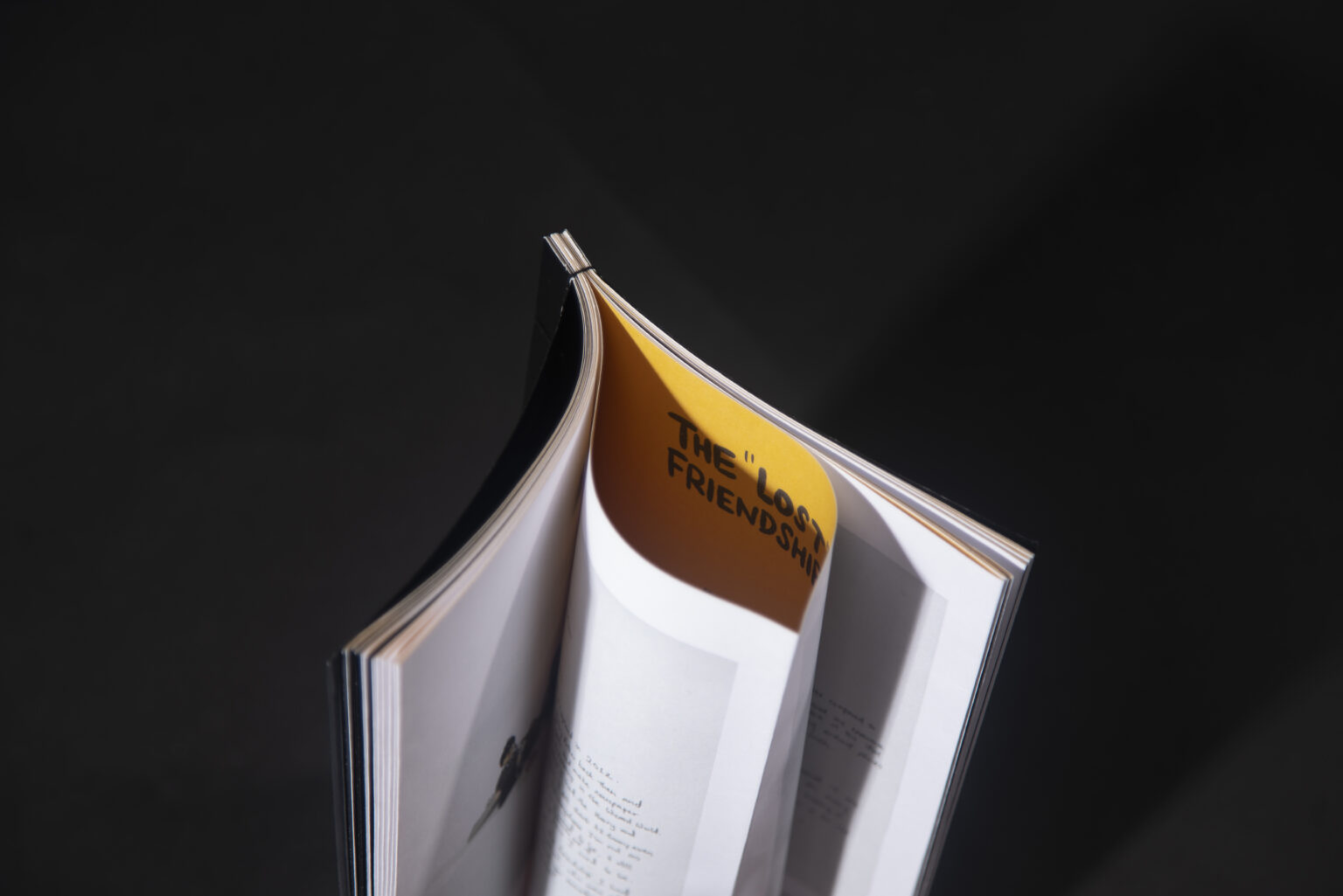 Exhibition Catalogue (French Fold)