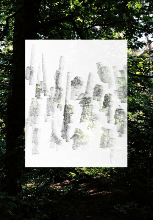 Pencil drawing layered digitally over a photograph taken in Queens Park, Glasgow